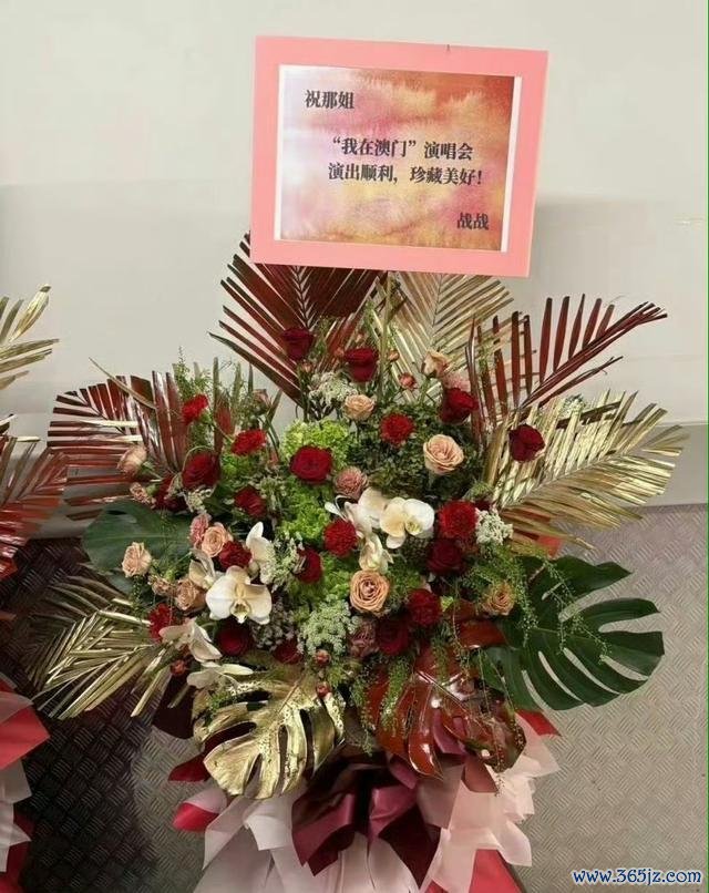 那英演唱會聽取媽聲一派 歌壇天后淚灑舞臺