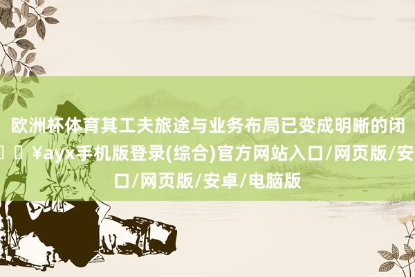 歐洲杯體育其工夫旅途與業務布局已變成明晰的閉環生態-??ayx手機版登錄(綜合)官方網站入口/網頁版/安卓/電腦版