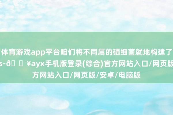 體育游戲app平臺(tái)咱們將不同屬的硒細(xì)菌就地構(gòu)建了多個(gè)SynComs-??ayx手機(jī)版登錄(綜合)官方網(wǎng)站入口/網(wǎng)頁版/安卓/電腦版